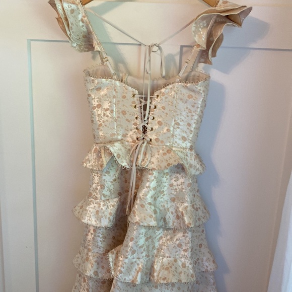 NWTS   V.Chapman dress size 00 Duchess in Dusty Cream - Picture 6 of 9